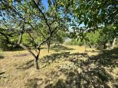 Prodej - pozemek, zahrada, 530 m²