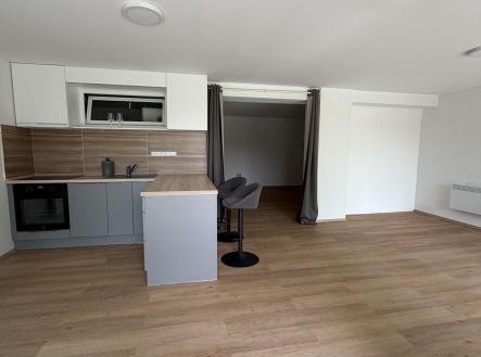 Pronájem bytu, 1+kk, 53 m²