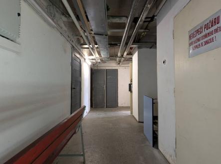 Prodej - kanceláře, 56 m²