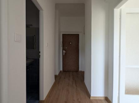 Pronájem bytu, 1+1, 47 m²