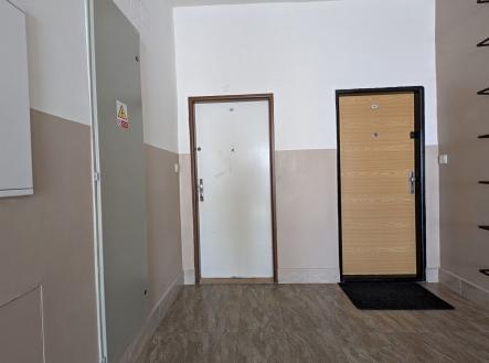 Pronájem bytu, 1+1, 55 m²