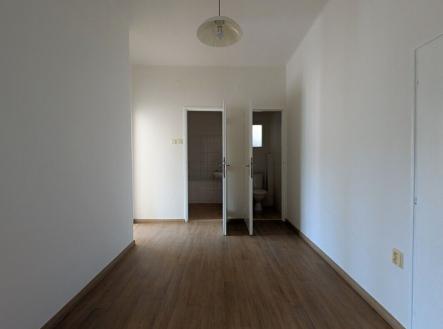 Pronájem bytu, 1+1, 59 m²