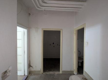 Prodej - jiné, 35 m²