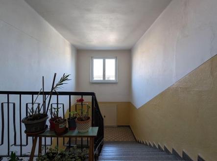 Pronájem bytu, 1+1, 46 m²