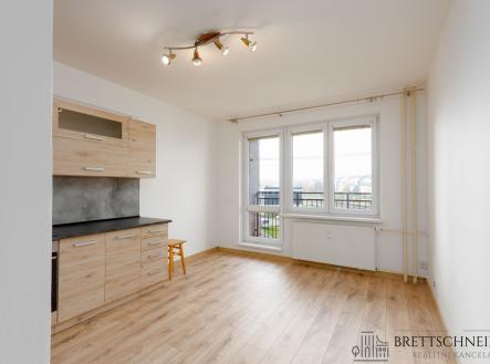 Byt Dubina Roman-1 | Pronájem bytu, 1+1, 40 m²