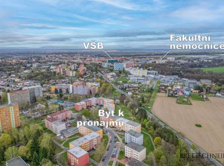 Byt Jeremiase Roman-19 | Pronájem bytu, 1+1, 34 m²