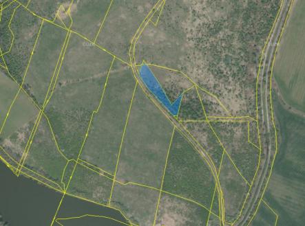 pozemek modlany | Prodej - pozemek, trvalý travní porost, 46 569 m²