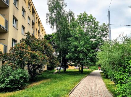 20250519_151933 | Prodej bytu, 2+1, 55 m²