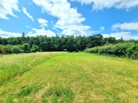 20250611_125358 | Prodej - pozemek pro bydlení, 2 591 m²