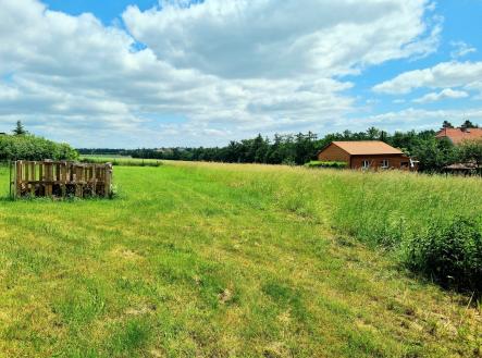 20250611_125209 | Prodej - pozemek pro bydlení, 2 591 m²