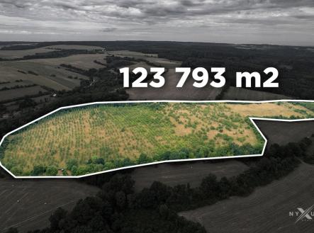 pozemek.jpg | Prodej - pozemek, ostatní, 123 793 m²