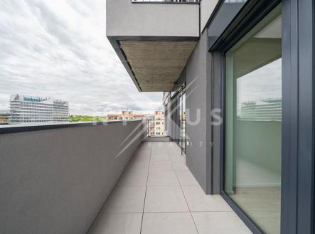 3s.jpeg | Pronájem bytu, 2+kk, 67 m²