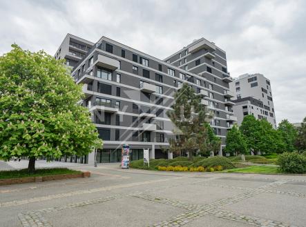 10s.jpeg | Pronájem bytu, 2+kk, 55 m²