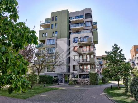 dsc02516-1.jpg | Prodej bytu, 2+kk, 208 m²