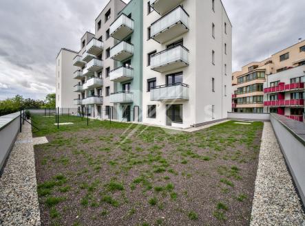 dsc02906.jpg | Pronájem bytu, 2+kk, 49 m²