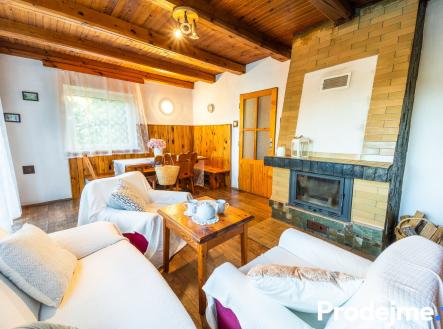 20 | Prodej - chata/rekreační objekt, 47 m²