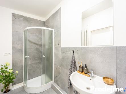 Pronájem bytu, 2+1, 49 m² obrázek