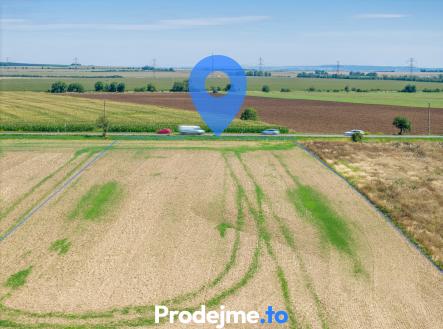 01 | Prodej - pozemek pro bydlení, 9 718 m²