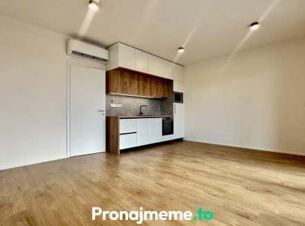IMG_9959 | Pronájem bytu, 1+kk, 41 m²