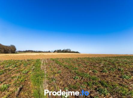 IMG_3123-HDR | Prodej - pozemek pro bydlení, 1 118 m²