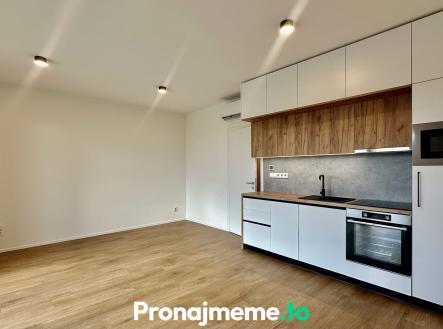 IMG_9960 | Pronájem bytu, 1+kk, 42 m²
