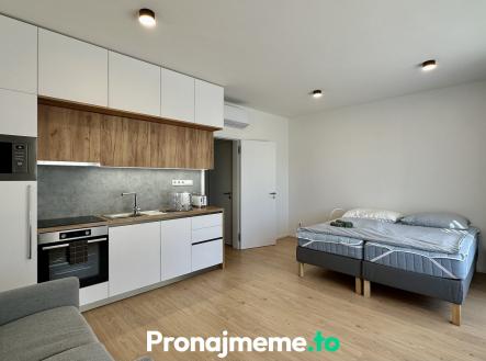 96B074D0-62CA-47A9-9CE9-7D1173CB4814_1_201_a | Pronájem bytu, 1+kk, 58 m²