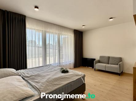 B30ACC7E-061F-41E3-B669-070DF5F1A1FB_1_201_a | Pronájem bytu, 1+kk, 58 m²