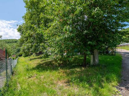 Prodej - pozemek, zahrada, 1 239 m²