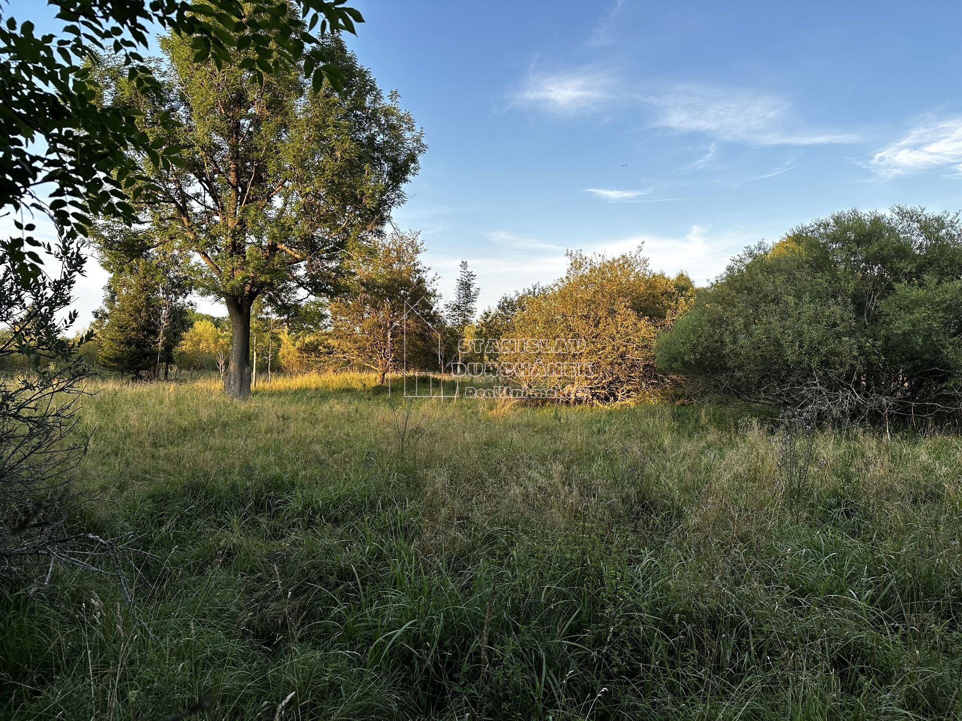 Prodej stavebního pozemku 1713 m2, Nová Ves, okres Sokolov