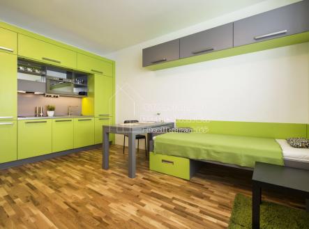 Pronájem bytu, jiný, 22 m²