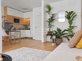 Pronájem bytu, 1+kk, 43 m²