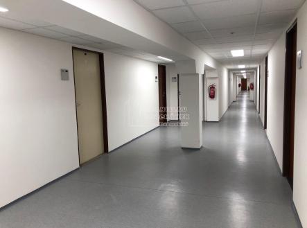 Pronájem - kanceláře, 23 m²