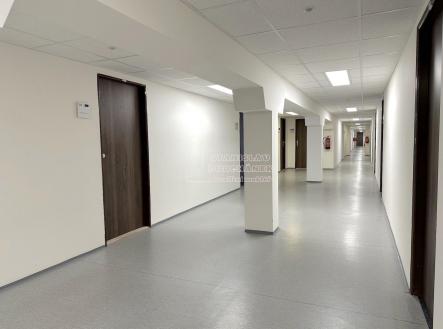 Pronájem - kanceláře, 16 m²