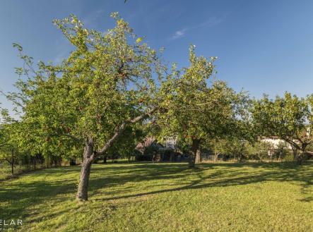 3-1.jpg | Prodej - pozemek pro bydlení, 2 047 m²