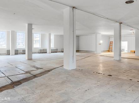 776-25893.jpg | Pronájem - obchodní prostor, 691 m²