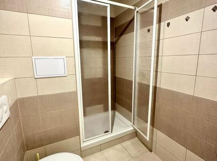 00337c46-8a01-4bcd-a26a-cc970084c380.jpg | Pronájem bytu, 1+kk, 25 m²