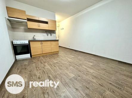 1a947e59-33db-47b4-a637-370ab544c36e.jpg | Pronájem bytu, 1+kk, 25 m²