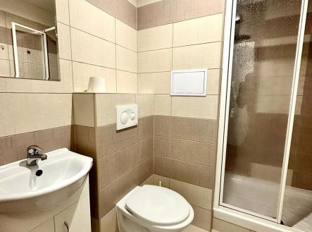 436ed9a3-88c8-426f-a133-8931f5a8324f.jpg | Pronájem bytu, 1+kk, 25 m²