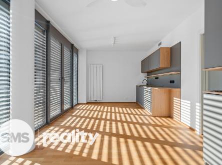 Pronájem bytu, 1+kk, 13 671 m² obrázek