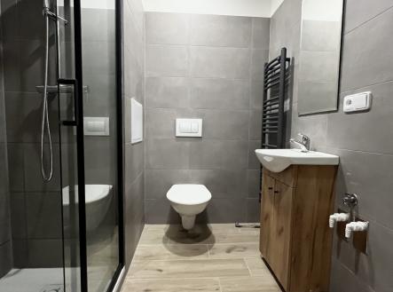 Pronájem bytu, 1+1, 35 m² obrázek