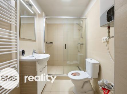 dsc00310.jpg | Pronájem bytu, 2+1, 55 m²