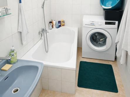 koupelna.png | Prodej bytu, 2+1, 58 m²