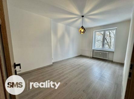 att.wudpxogcl-gwrqrlbftfshm96fvegudcoqri3hfl3vg-1.jpg | Pronájem bytu, 2+1, 53 m²