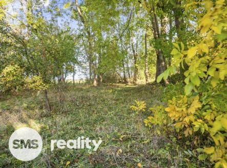 1116-39666.jpg | Prodej - chata/rekreační objekt, 75 m²