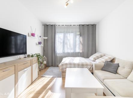 gh6a4583-edit-kopie.jpg | Prodej bytu, 2+1, 53 m²