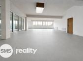 Pronájem - obchodní prostor, 167 m²