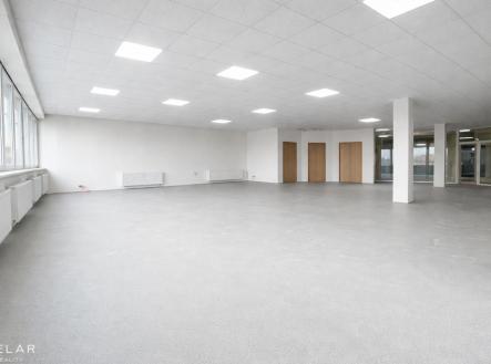 prazdny-komercni-prostor-s-drevenymi-dvermi.png | Pronájem - obchodní prostor, 167 m²