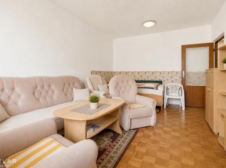 Obývací pokoj + ložnice | Prodej bytu, 1+1, 46 m²