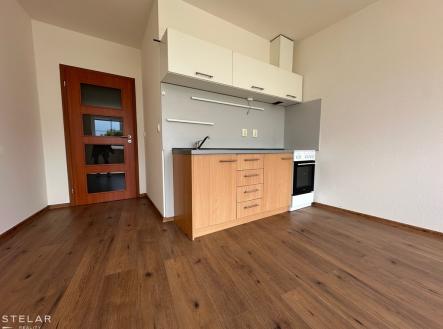 halkova-2.jpeg | Pronájem bytu, 1+kk, 33 m²
