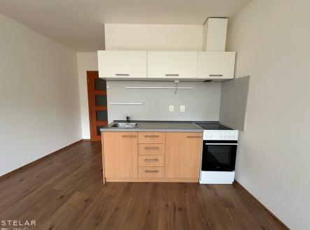 halkova-7.jpeg | Pronájem bytu, 1+kk, 33 m²
